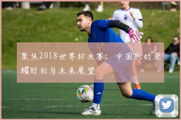 聚焦2018世界杯决赛：中国队的荣耀时刻与未来展望