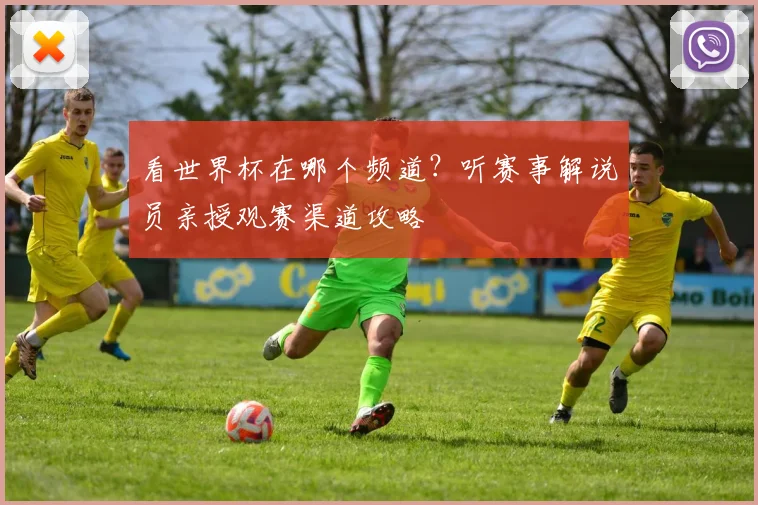 看世界杯在哪个频道？听赛事解说员亲授观赛渠道攻略