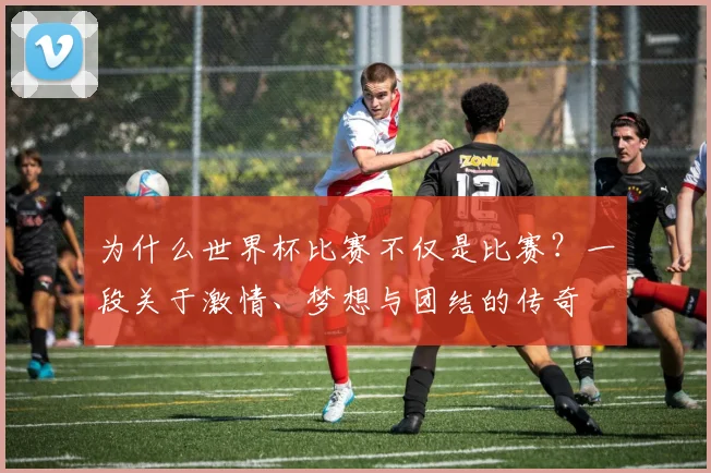 为什么世界杯比赛不仅是比赛？一段关于激情、梦想与团结的传奇