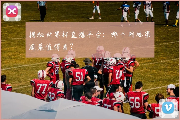 揭秘世界杯直播平台：哪个网络渠道最值得看？