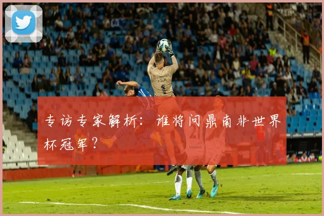 专访专家解析：谁将问鼎南非世界杯冠军？